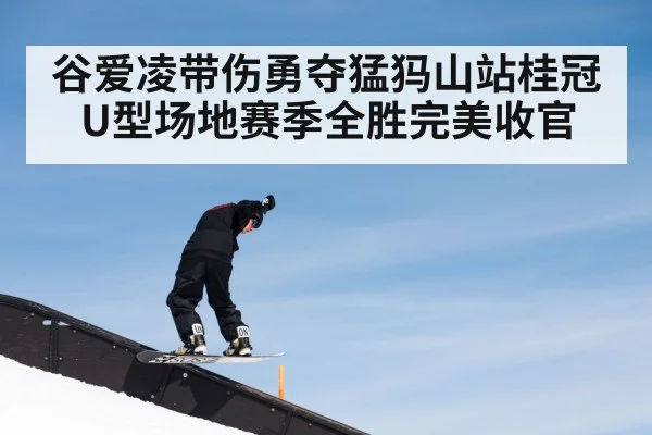 谷爱凌带伤勇夺猛犸山站桂冠 U型场地赛季全胜完美收官