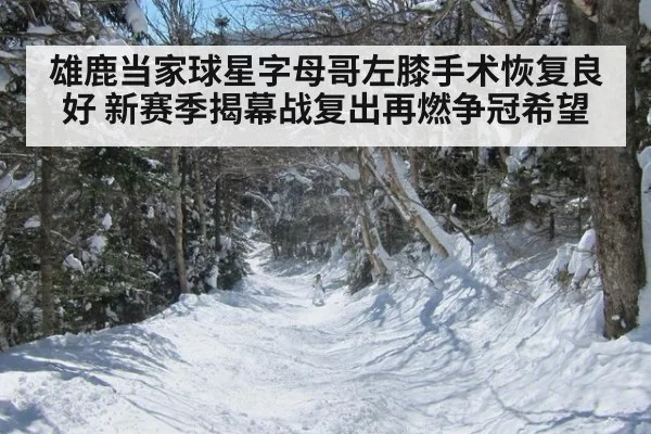 雄鹿当家球星字母哥左膝手术恢复良好 新赛季揭幕战复出再燃争冠希望